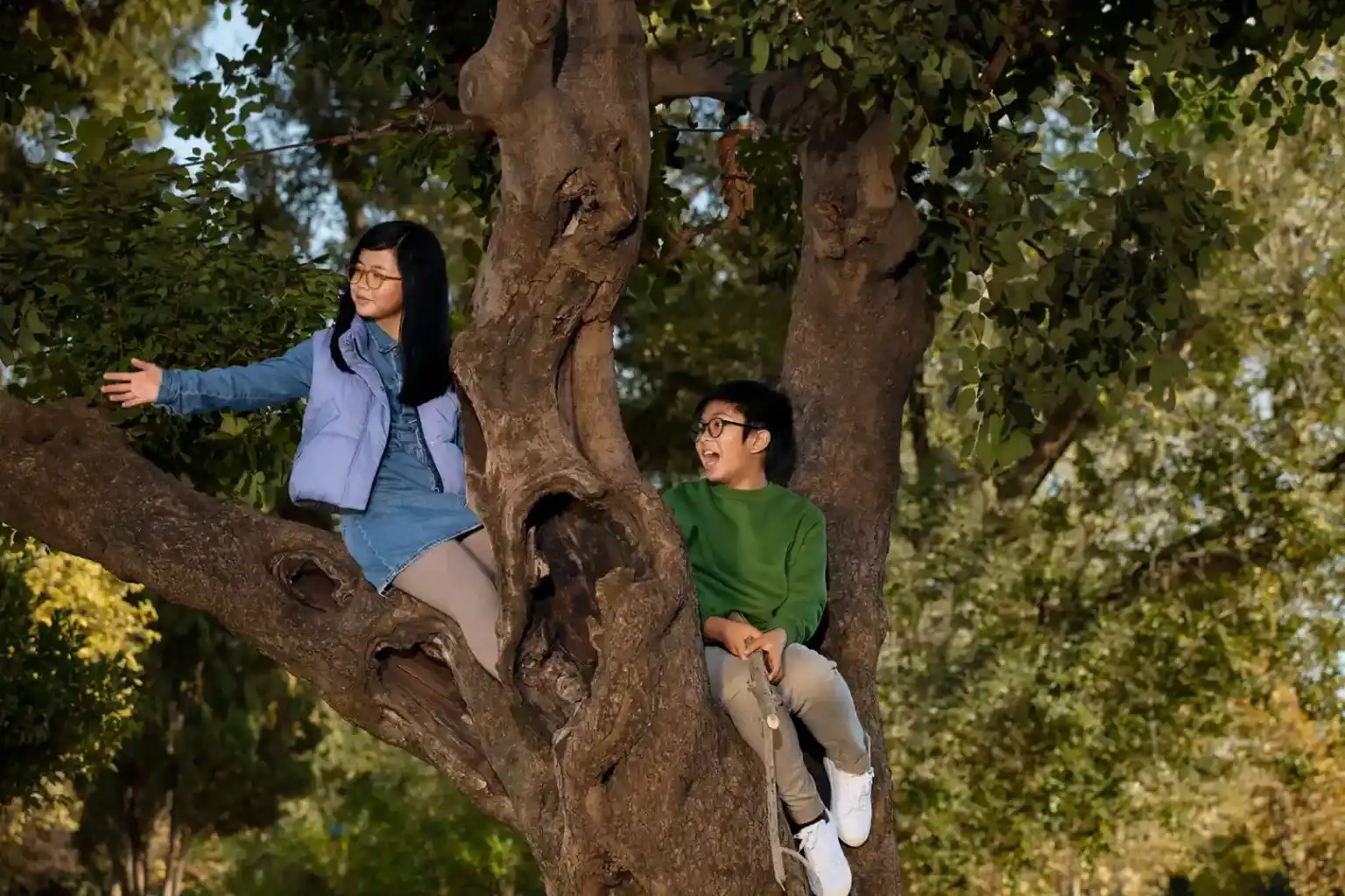 lenti Hoya occhiali bambini a Bologna